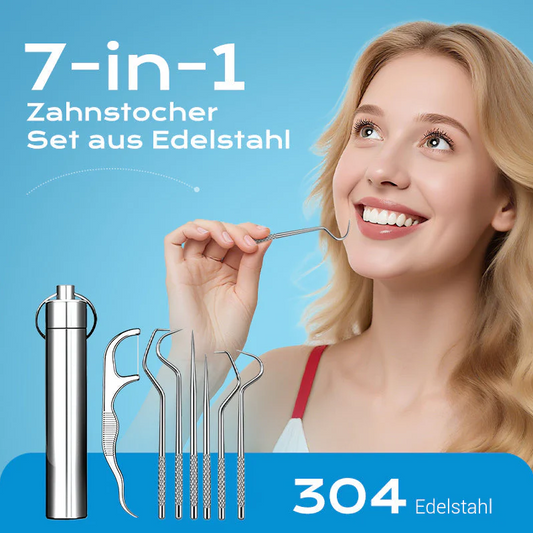 【🔥Kup 1 otrzymaj 1 za darmo】🦷Zestaw wykałaczek ze stali nierdzewnej