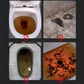 🚽💦Wysokociśnieniowy przepychacz do toalet