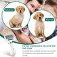 🐶Zimowa wyprzedaż 40% taniej🥳2-in-1 Dog Grooming Dryer