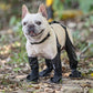 🔥 Gorąca wyprzedaż noworoczna 🐶 Wodoodporne buty dla zwierząt domowych