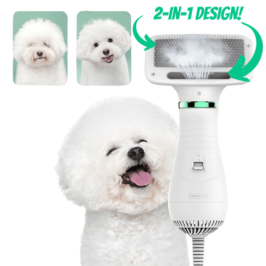 🐶Zimowa wyprzedaż 40% taniej🥳2-in-1 Dog Grooming Dryer