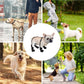 🔥 Gorąca wyprzedaż noworoczna 🐶 Wodoodporne buty dla zwierząt domowych